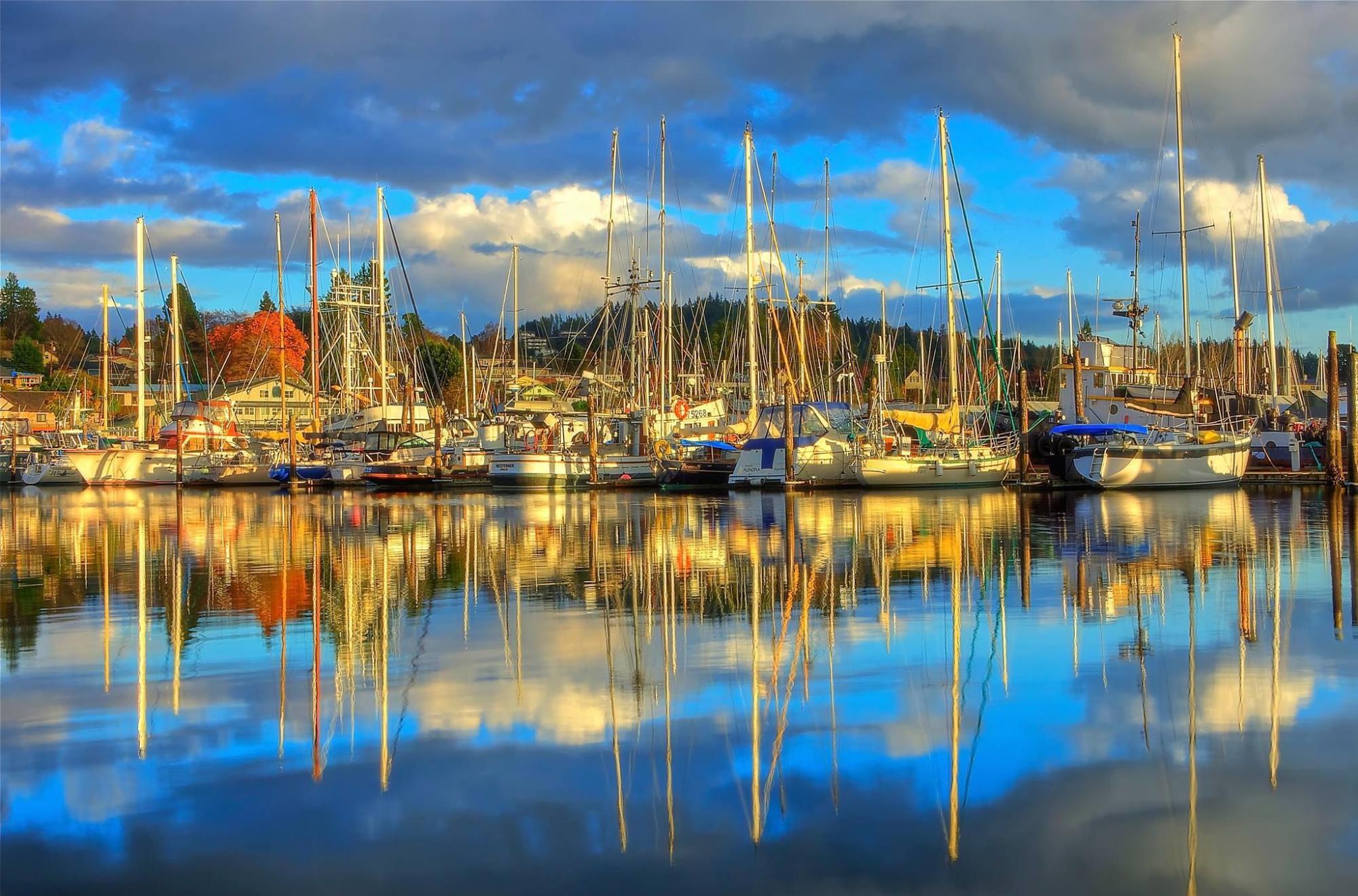 Sailboats docked at a marina on a sunny day. Their reflections dance in the water. 