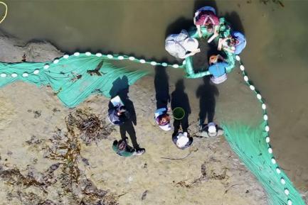 Overhead shot of a group of students studying the riverbank ecosystem of the Elwha River.